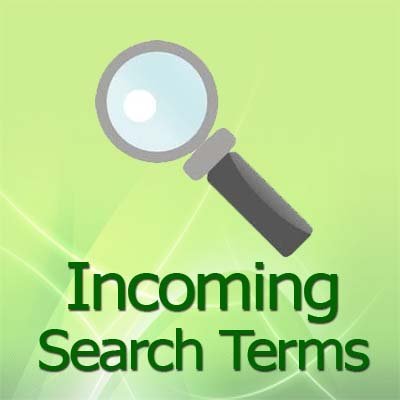 Incoming Search Terms